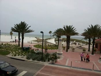 Palm trees on beach