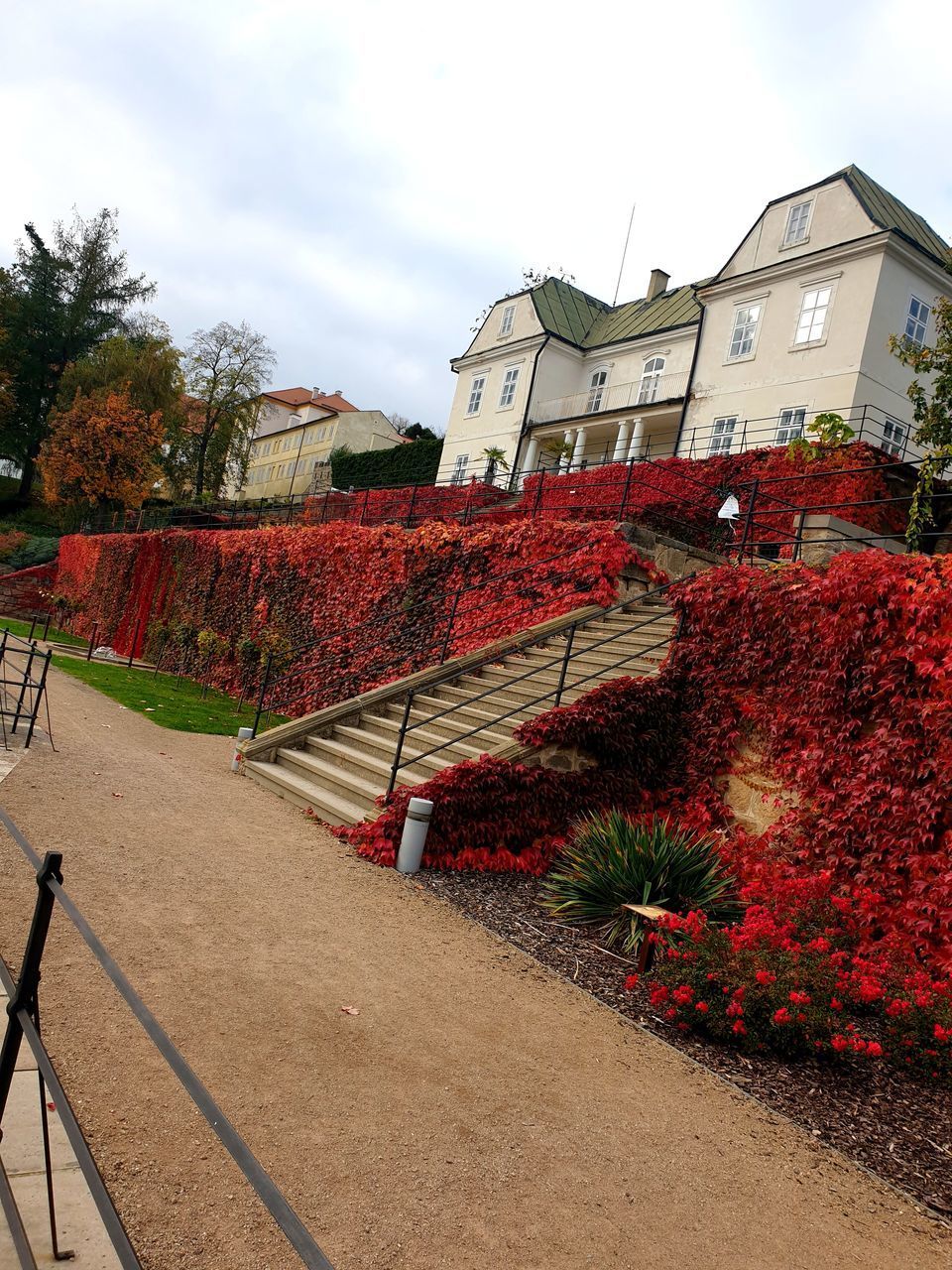 RED FLOWERS ON FOOTPATH BY BUILDING