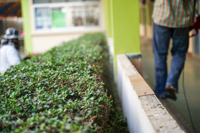 Low section of man standing by plants