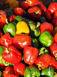 Full frame shot of multi colored tomatoes