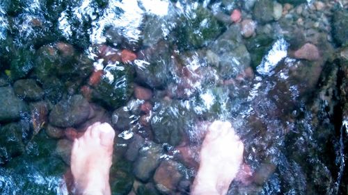 Close-up of hands on tree