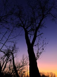 Low angle view of bare trees against sky at sunset