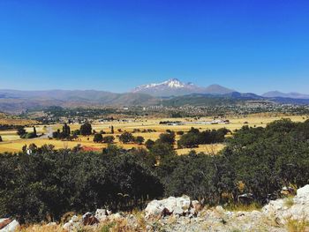 Scenic view of field against clear blue sky