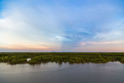 Scenic view of forest against sky during sunset