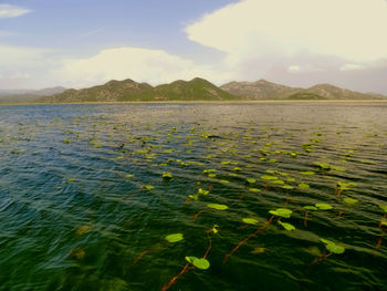 Scenic view of lake against sky