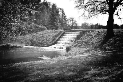 Scenic view of river with trees in background