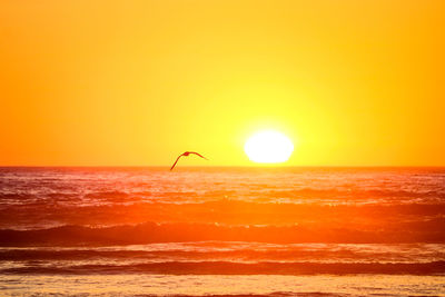 Silhouette bird flying over sea against orange sky
