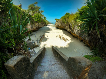 Panoramic view of footpath amidst trees against sky