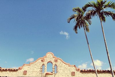 Low angle view of palm trees against blue sky