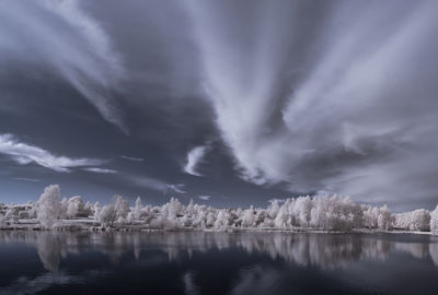 Scenic view of lake by trees against sky