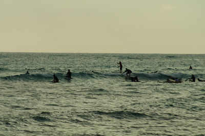Surfers on waikiki beach in honolulu 