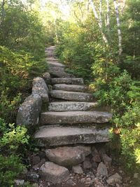 Steps and trees