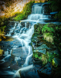 Scenic view of waterfall in forest