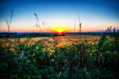 Scenic view of field against sky during sunset