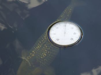 High angle view of abandoned clock floating over fish swimming in lake