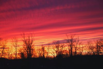 Silhouette bare trees on landscape against orange sky