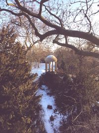 Built structure by trees in forest during winter
