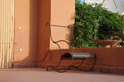 Potted plant against wall of building