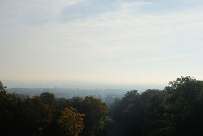 Scenic view of forest against sky