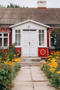 Red flowering plants on footpath outside building