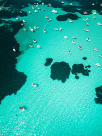 High angle view of people swimming in sea
