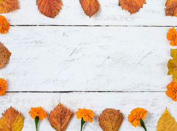 Directly above shot of autumn leaves on table against wall
