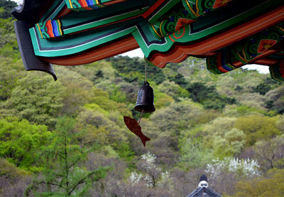Tilt image of kite flying hanging in temple