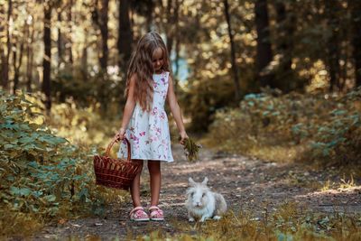 Cute girl with basket standing by rabbit on field in forest