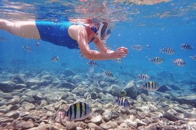 Senior woman swimming in sea