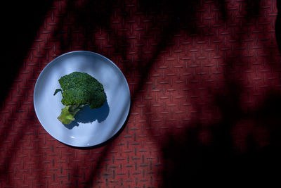 High angle view of broccoli in plate on sheet metal