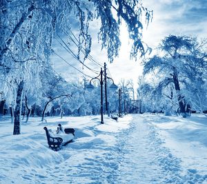 Ski lift on snow covered landscape