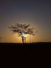 Silhouette tree on field against sky during sunset