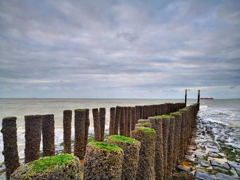 Wooden posts on beach against sky