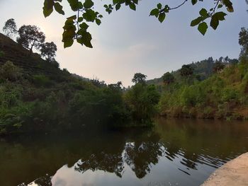 Scenic view of lake by trees against sky