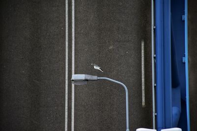 Close-up of street against blue wall