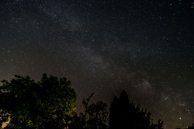 Low angle view of trees against sky at night