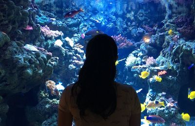 Rear view of woman in aquarium