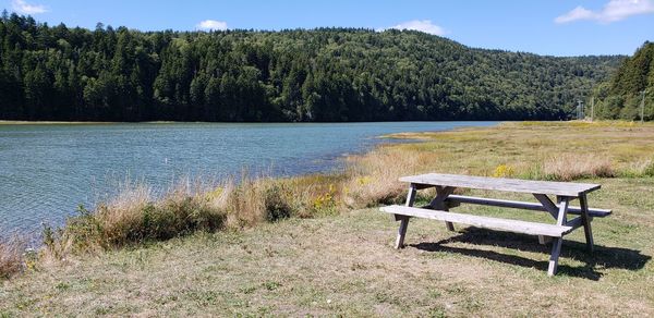 Bench in lake by trees against sky