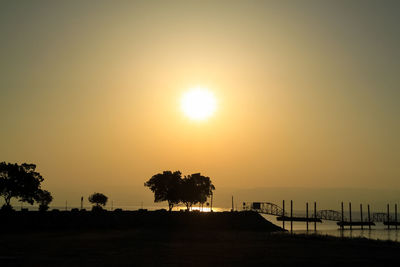 Silhouette trees on beach against orange sky