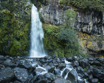 Scenic view of waterfall in forest