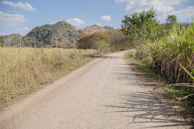 Dirt road along plants and trees against sky