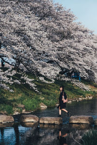 Full length of woman standing by plants against trees