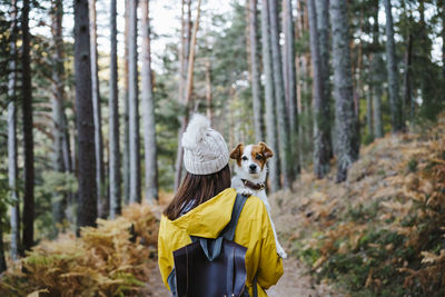 View of a dog in forest