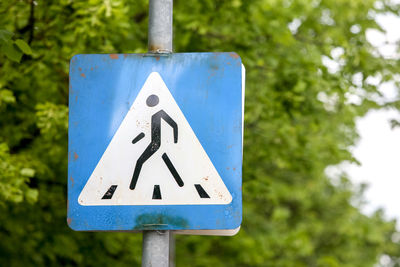 Close-up of road sign against trees crosswalk