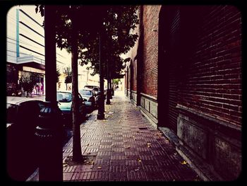 Empty alley along buildings