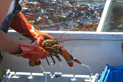 Midsection of person holding fish
