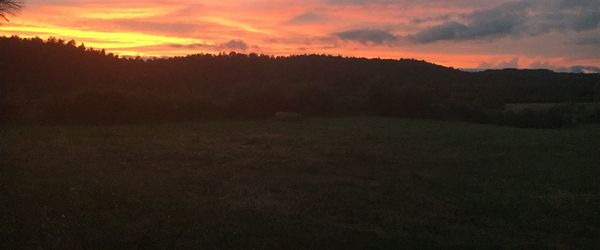 Scenic view of silhouette trees on field against sky at sunset