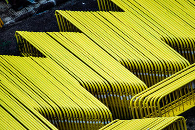 Close-up of palm leaf