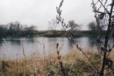 Scenic view of lake against sky