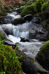 Stream flowing through rocks in forest